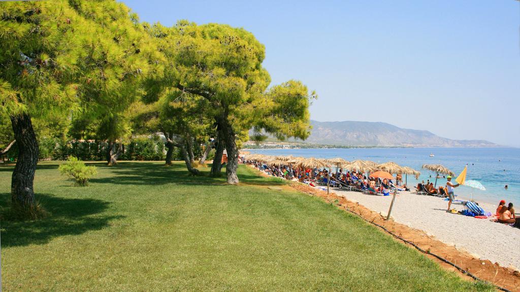 Siagas Beach Hotel 아이 테오도리 외부 사진